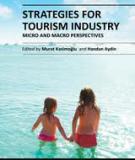 Ebook Strategies for tourism industry: Micro and macro perspectives - Murat Kasimoğlu