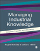 Ebook Managing industrial knowledge: Creation, transfer and utilization – Part 1